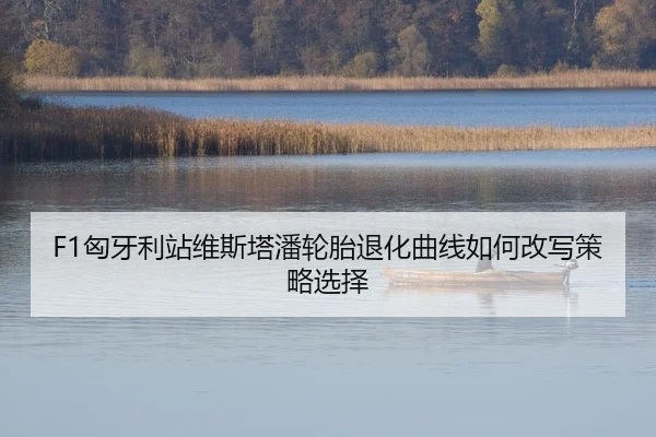 F1匈牙利站维斯塔潘轮胎退化曲线如何改写策略选择